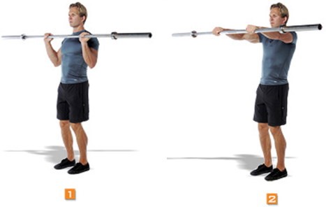 Дельтовидная мышца. Где находится, фото, функции, упражнения для девушек, дома, в тренажерном зале Дельтовидная мышца. Где находится, фото, функции, упражнения для девушек, дома, в тренажерном зале