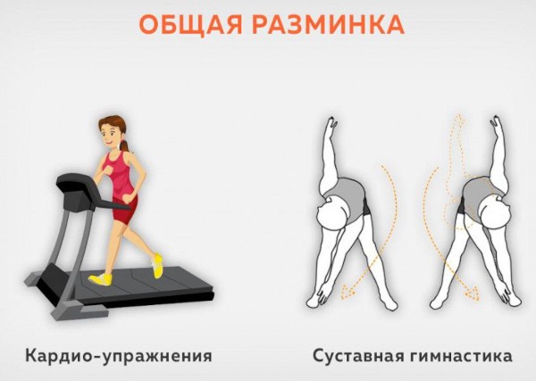 Горизонтальная тяга в тренажере хаммер, на спину, сидя. Техника Горизонтальная тяга в тренажере хаммер, на спину, сидя. Техника