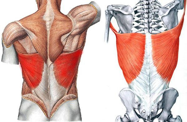 Горизонтальная тяга в тренажере хаммер, на спину, сидя. Техника Горизонтальная тяга в тренажере хаммер, на спину, сидя. Техника