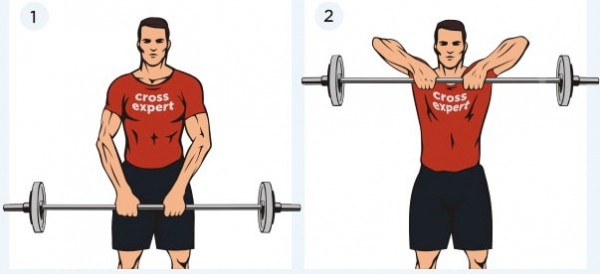 Дельтовидная мышца. Где находится, фото, функции, упражнения для девушек, дома, в тренажерном зале Дельтовидная мышца. Где находится, фото, функции, упражнения для девушек, дома, в тренажерном зале