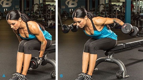 Дельтовидная мышца. Где находится, фото, функции, упражнения для девушек, дома, в тренажерном зале Дельтовидная мышца. Где находится, фото, функции, упражнения для девушек, дома, в тренажерном зале